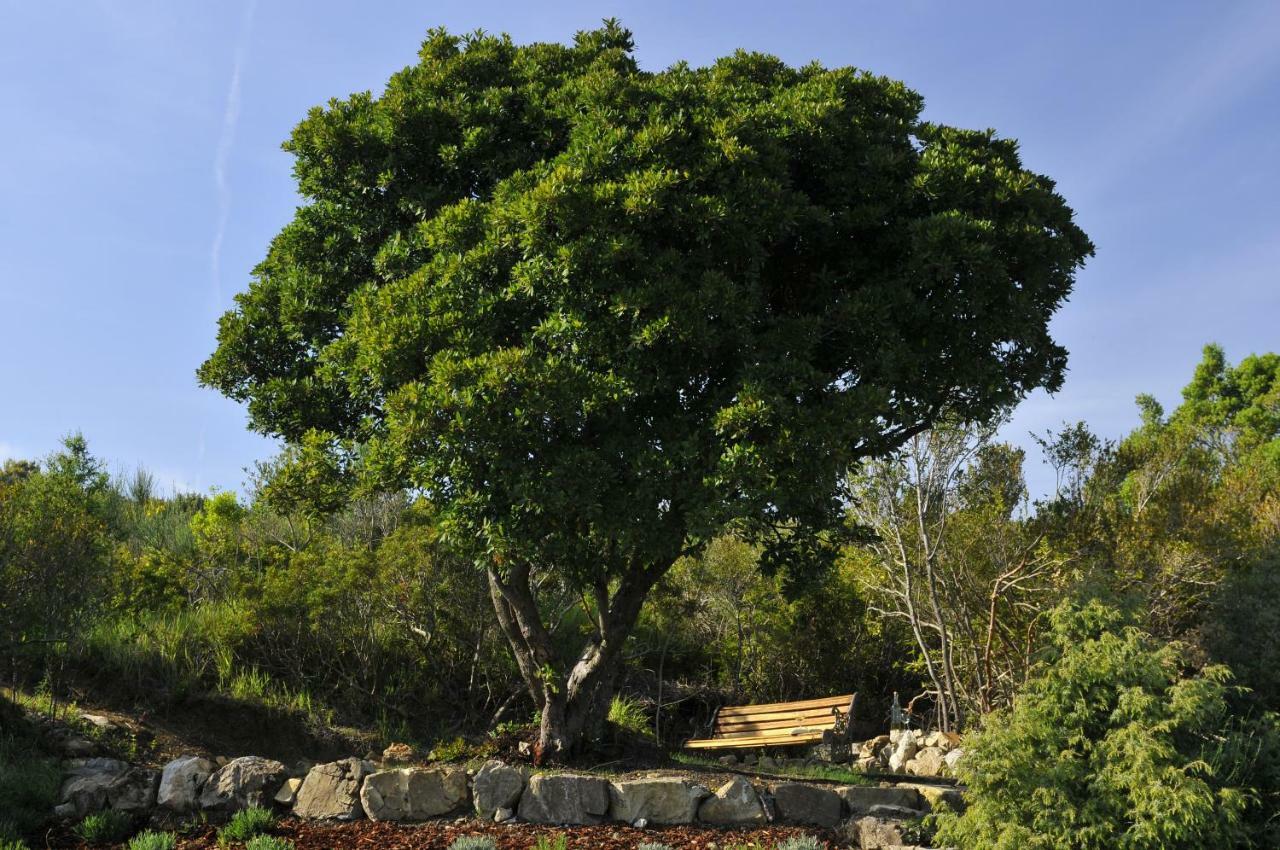 Serra Destri Διαμέρισμα Riparbella Εξωτερικό φωτογραφία